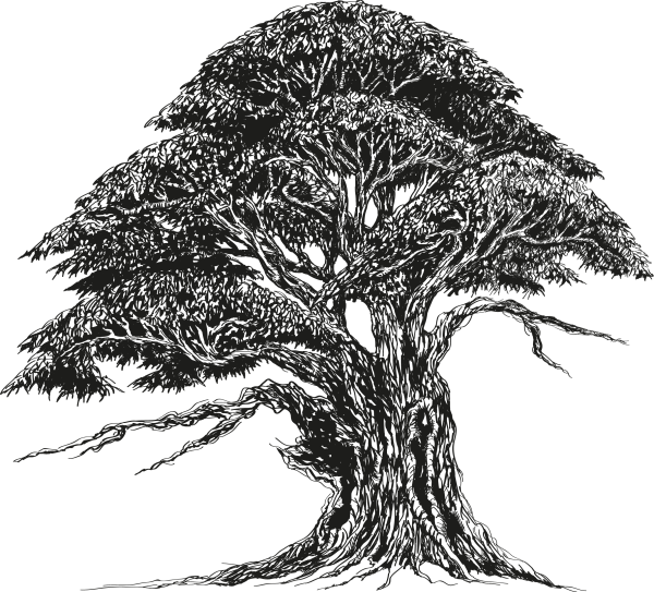 Дерево тату эскиз