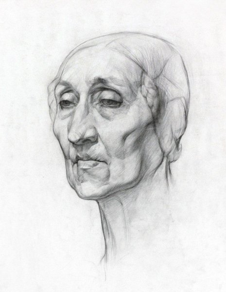 Академический рисунок портрет