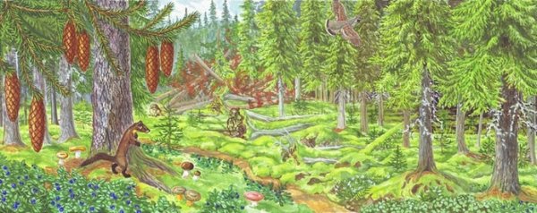 Леса чб для детей