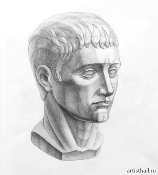 Германик гипсовая голова Академический рисунок