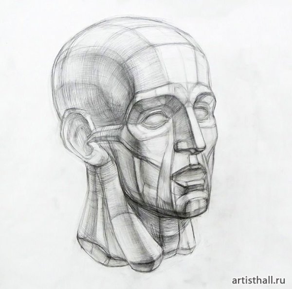 Могилевцев Экорше