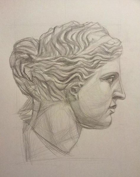 Голова Афродиты гипс рисунок