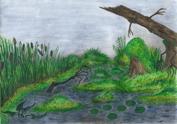 Болото для дошкольников