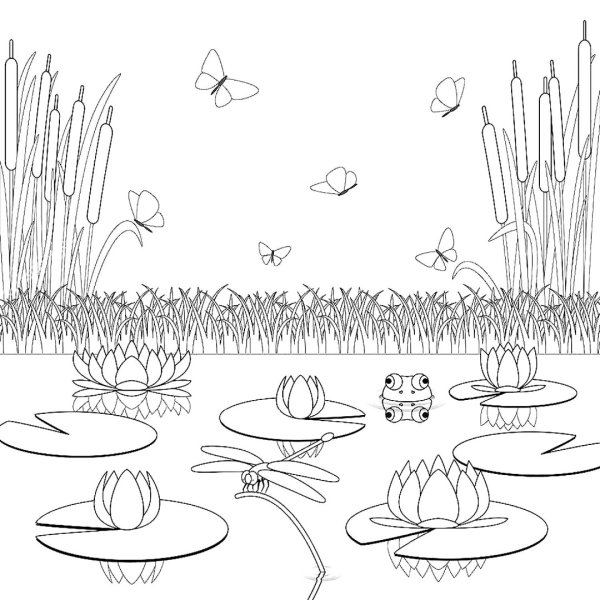 Болото раскраска