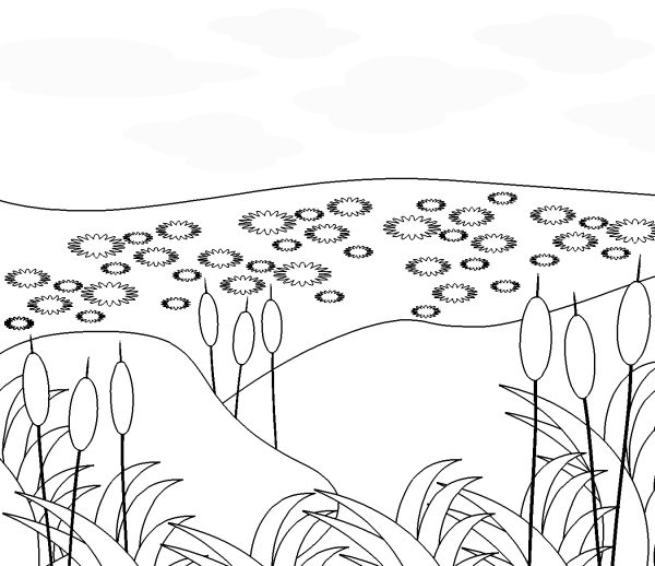 Пруд раскраска для детей