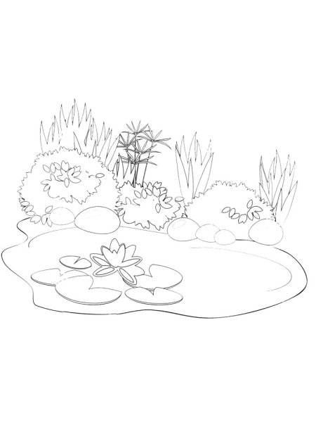 Болото раскраска для детей