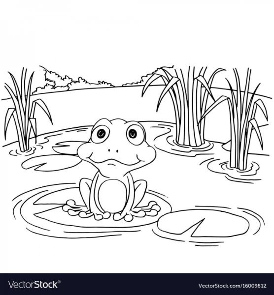 Болото раскраска для детей