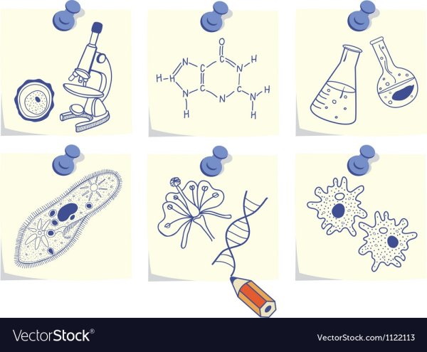 Рисование по биологии