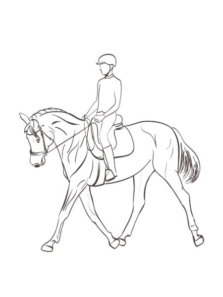 Раскраска всадник на лошади