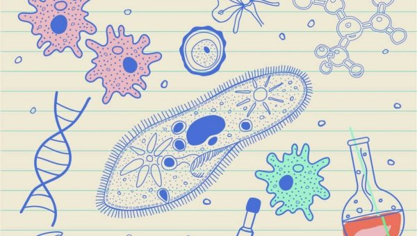 Фон для презентации по биологии