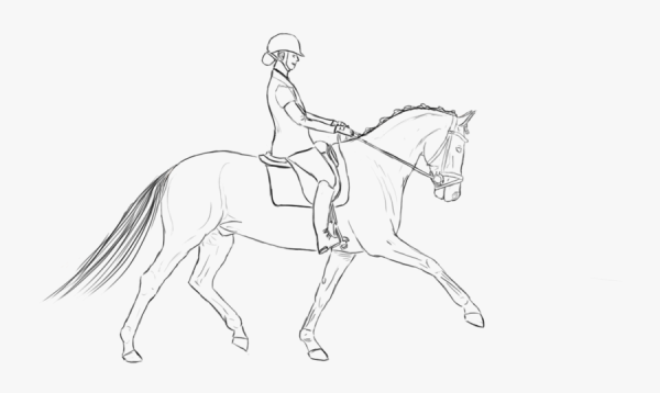 Всадник на лошади карандашом
