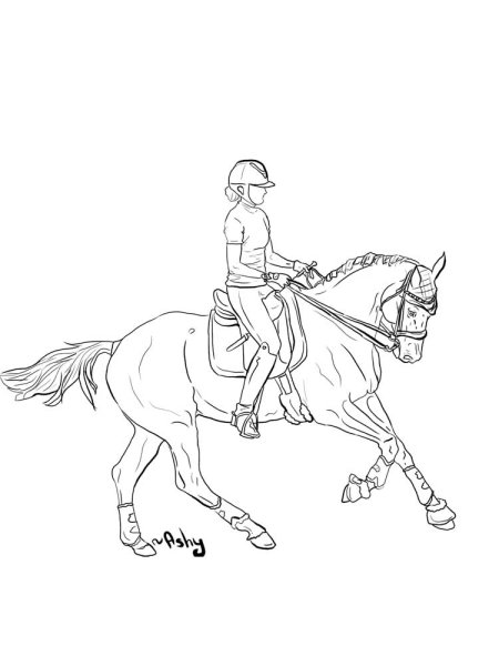 Выездка раскраска