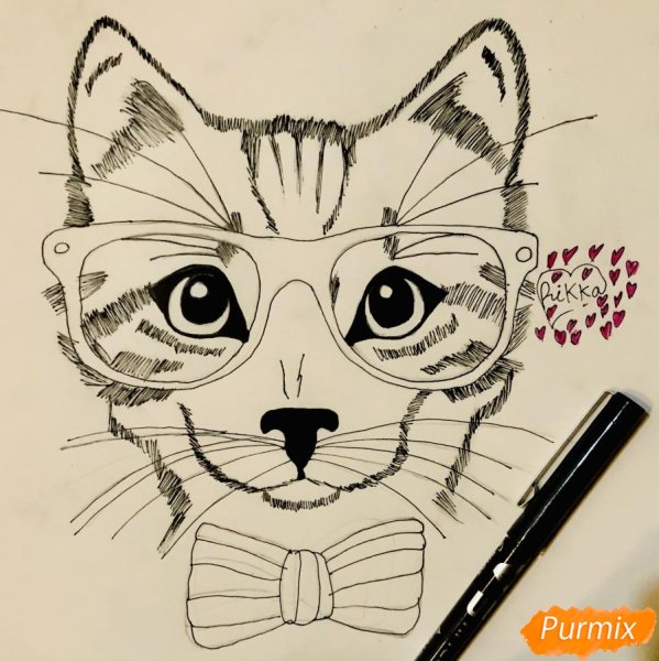 Кошка в очках нарисованная
