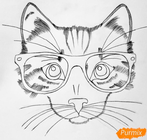 Кот в очках фон