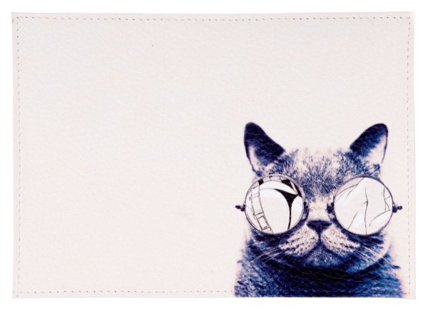 Постер кот в очках