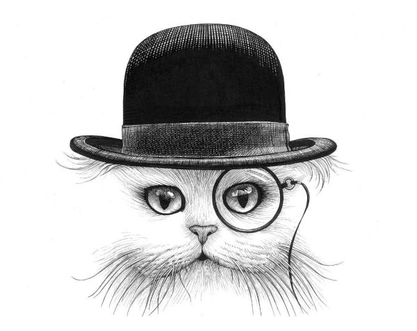 Котик в очках карандашом