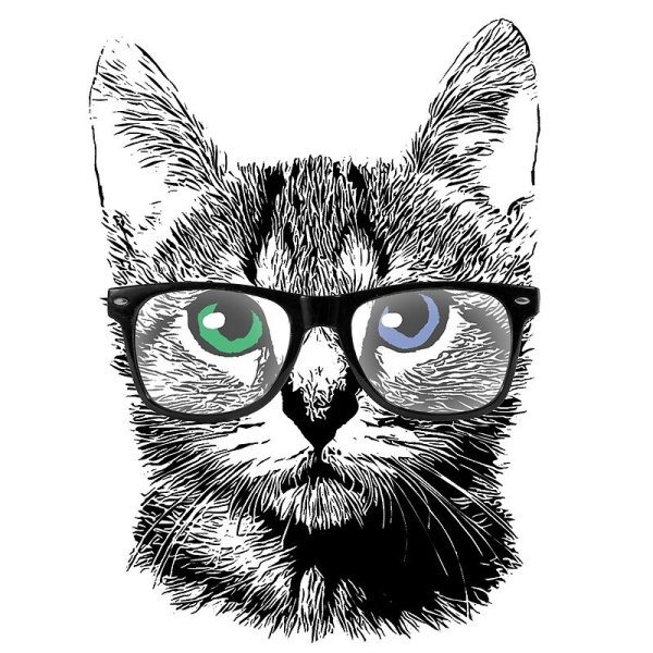 Кот в очках карандашом