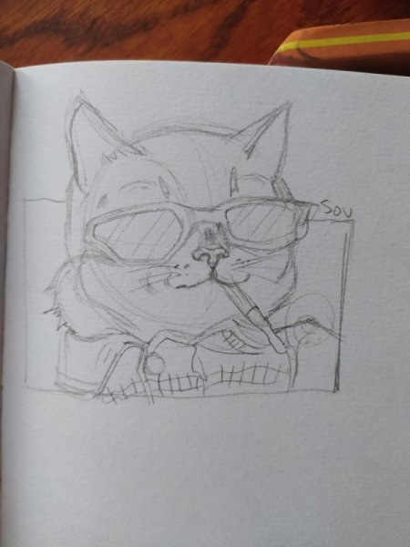 Кот в очках для срисовки