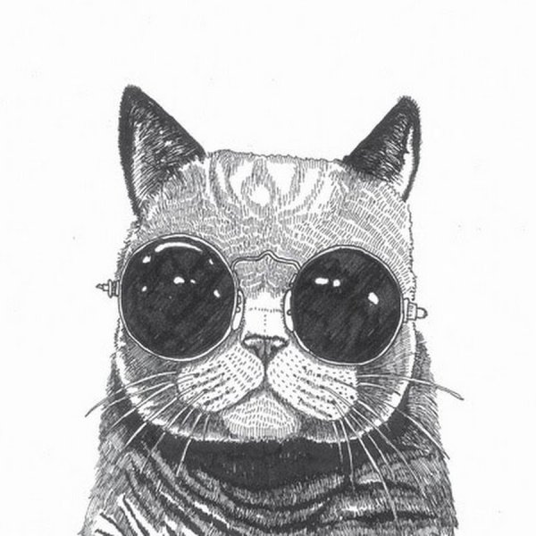 Кот в очках эскиз