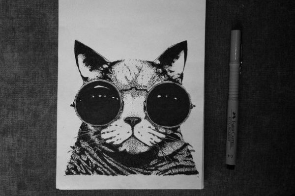 Котик в очках рисунок