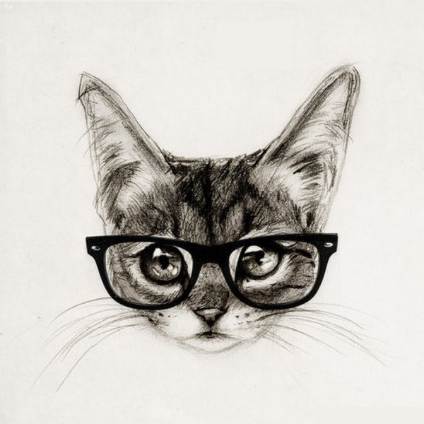 Прикольные коты карандашом