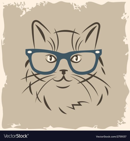 Кот в очках