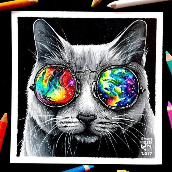 Кот в деловом костюме