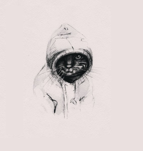 Нарисовать кота карандашом