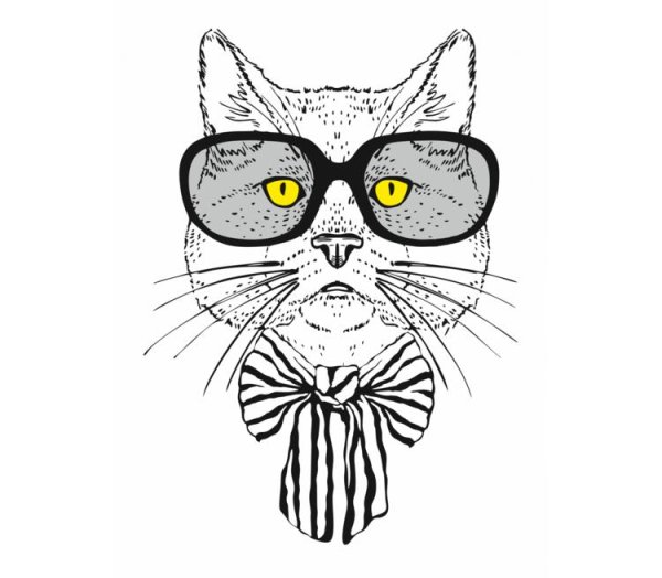 Кот ученый раскраска