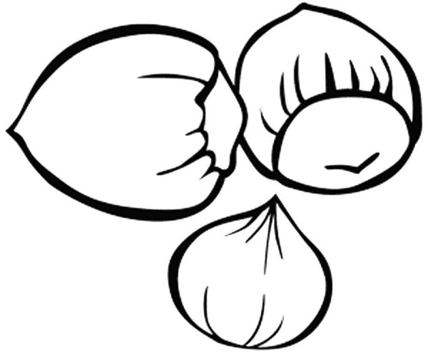 Орех раскраска