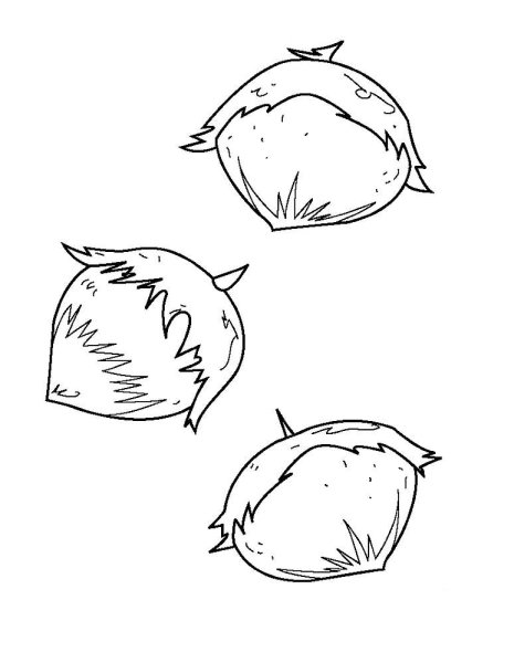 Орех раскраска