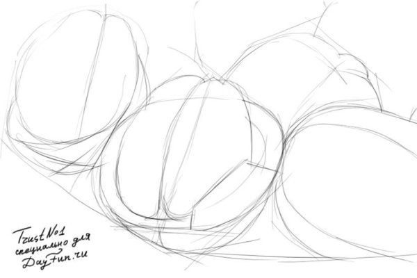 Орехи карандашом