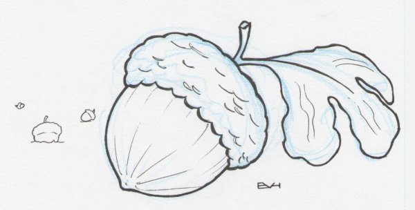 Орех раскраска