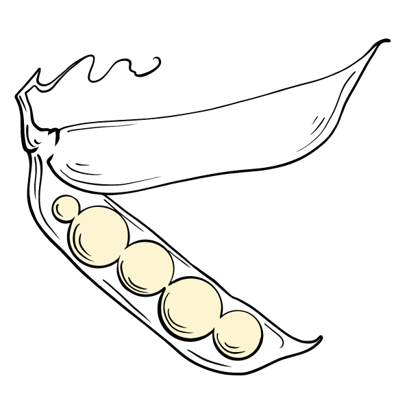Горох раскраска