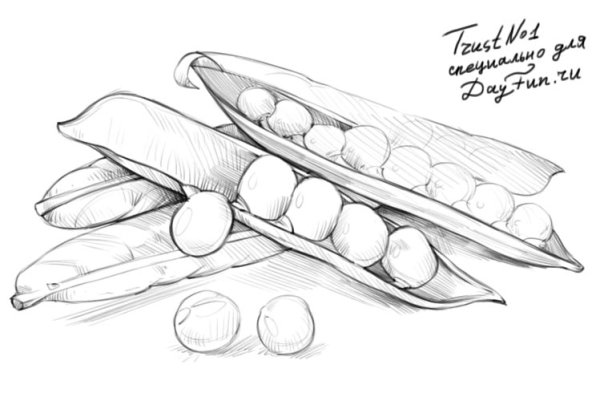 Горох раскраска для детей