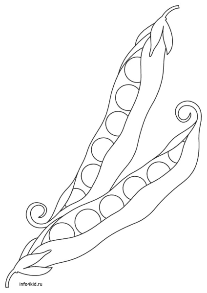 Стручок раскраска для детей