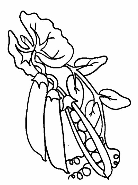 Горох раскраска