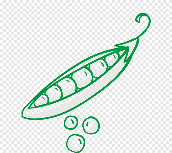 Стручок гороха контур