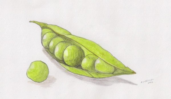 Раскраска горошек