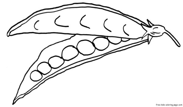Зеленый горошек раскраска для детей