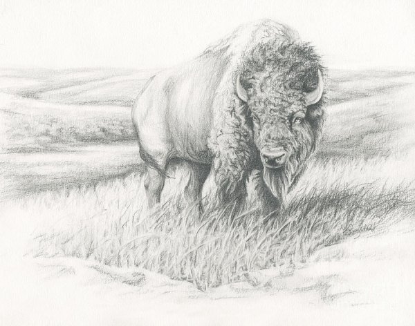 ЗУБР карандашом