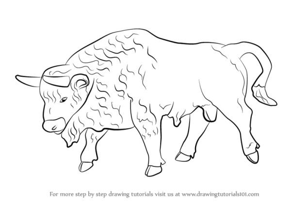 Бизон карандашом