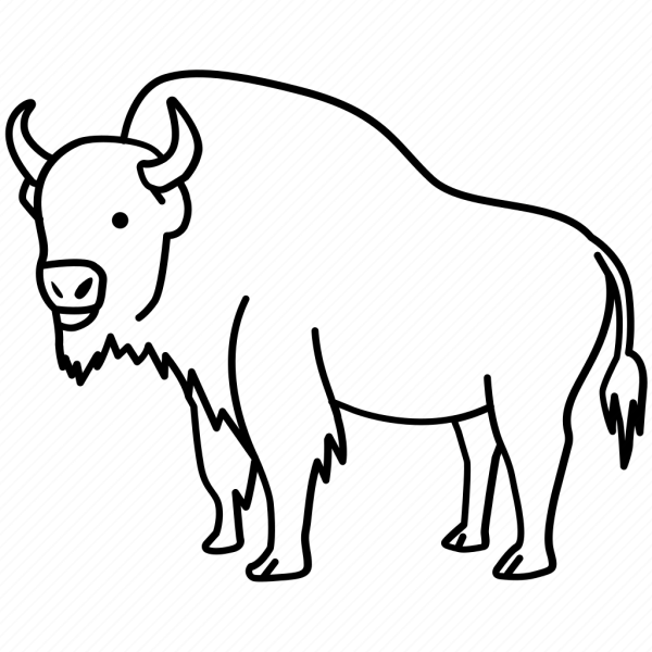 Голова бизона