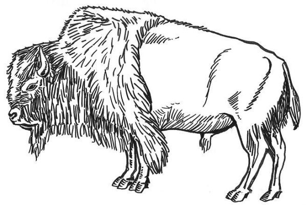 ЗУБР карандашом