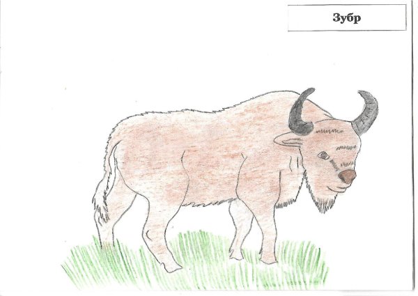 ЗУБР В графике