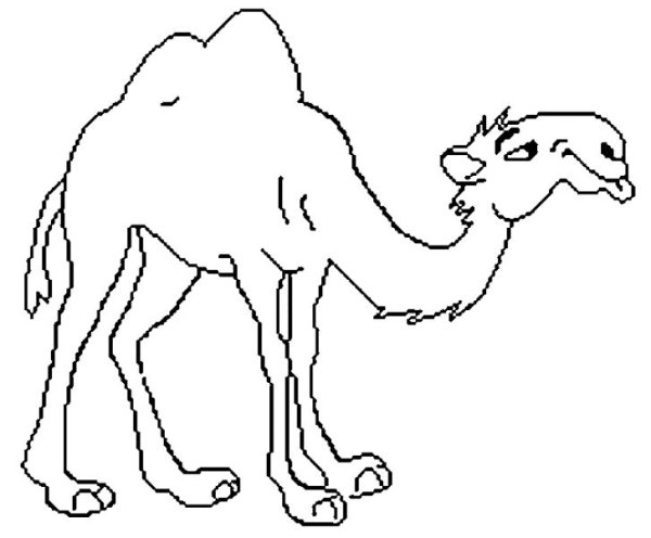 Сказочный верблюд