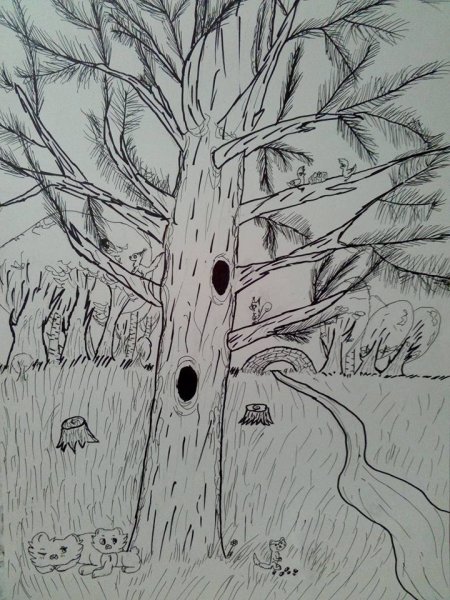 Кедр карандашом