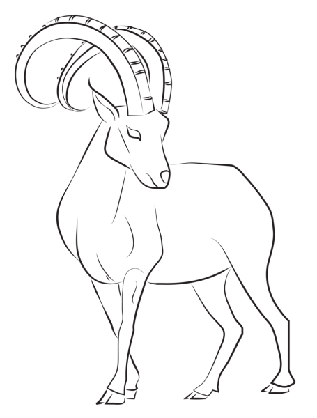 Козерог раскраска