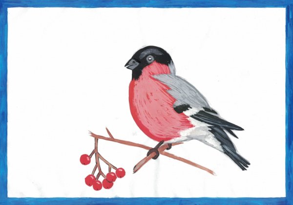 Зимующие птицы Башкирии