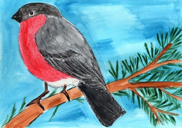 Рисование с детьми Снегирь